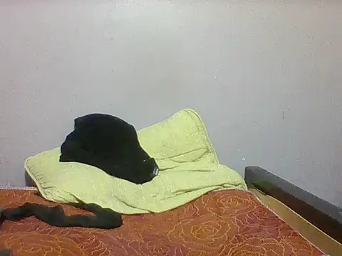 mislover webcam