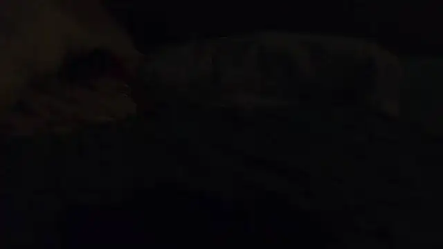 k-dong webcam