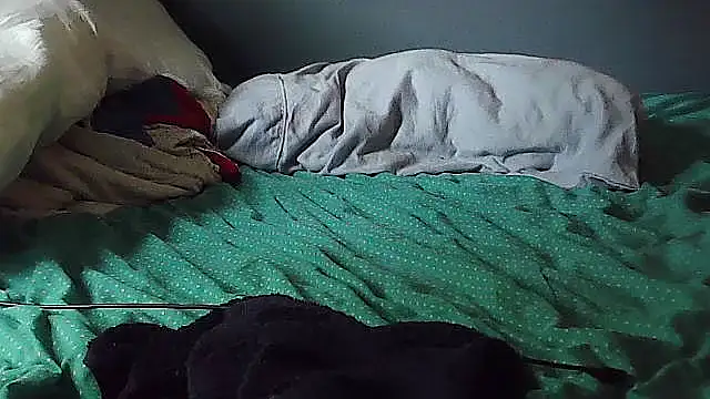 k-dong live cam on StripChat
