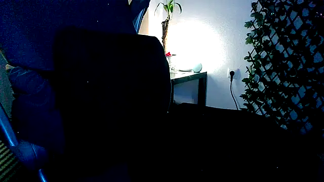 topdomcloud36 webcam