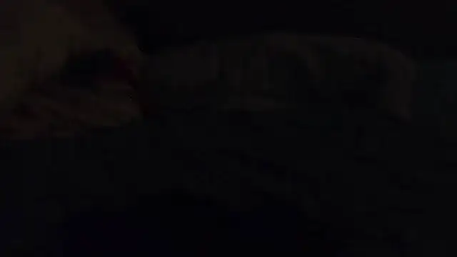 k-dong webcam