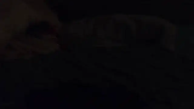 k-dong webcam