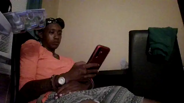 BedazedFirefly webcam