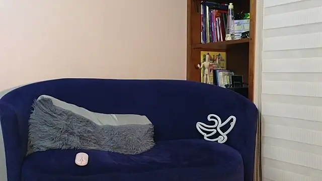 Derekswan webcam
