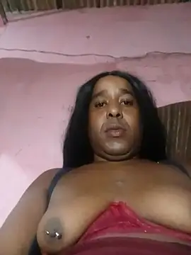 Hellentrans24 webcam