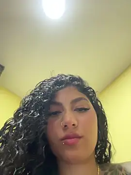 brizzmotion webcam
