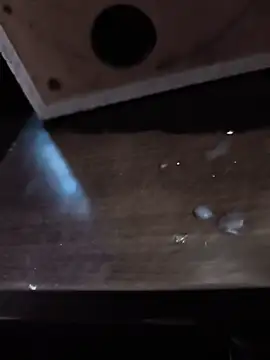 bwcfleshlight webcam