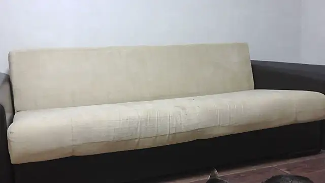 aylinblushing webcam