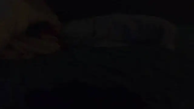 k-dong webcam