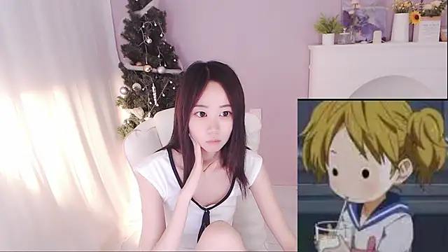 hall-33 webcam