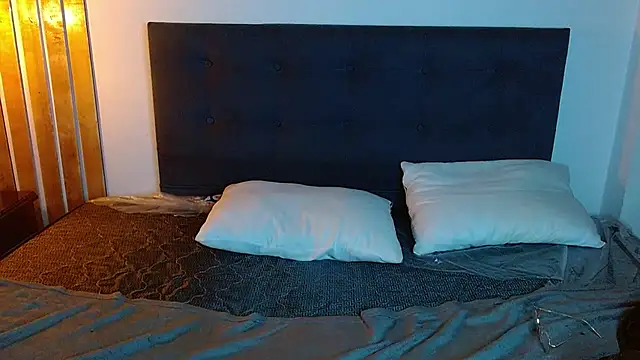 fyreandfox_ webcam