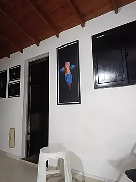 SilvaBranko webcam