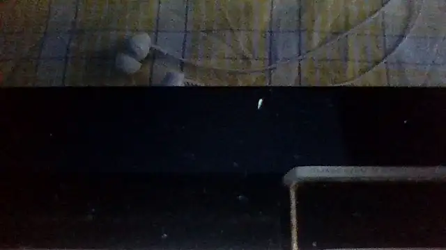 st206boy webcam
