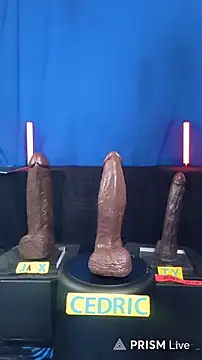 FantasyMan-BiWM webcam