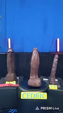 FantasyMan-BiWM webcam