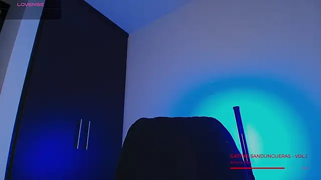BjornSteel webcam