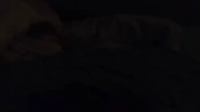 k-dong webcam