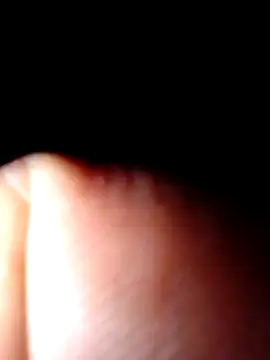 pussy_muncha webcam