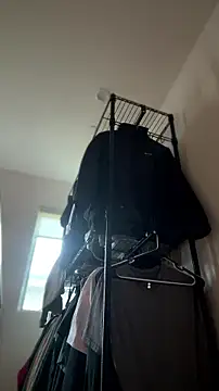 alldogsgotoheaven webcam