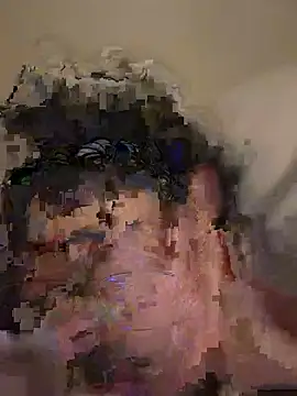 defation webcam