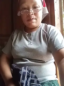 Ip34 webcam