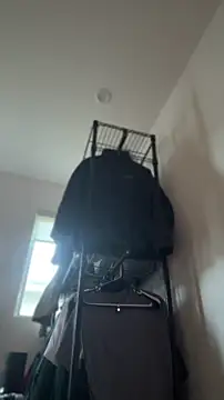 alldogsgotoheaven webcam