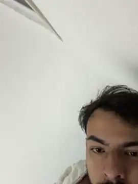 artzin2702 webcam