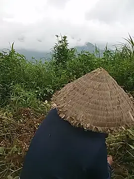 tuyet-nhi webcam