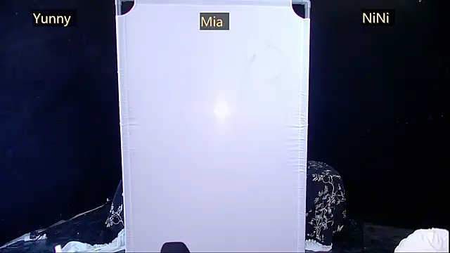 MiNi-U webcam