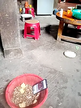 phuongtrinh1 live cam on StripChat