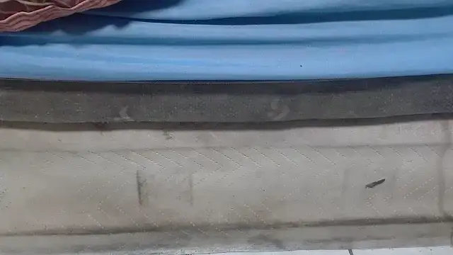 Bunnyxx01 webcam