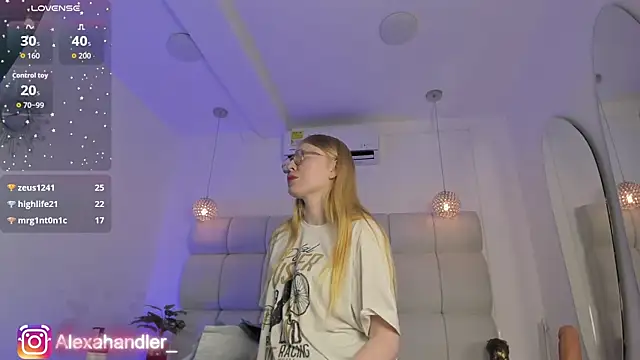 Alexa_Handler webcam