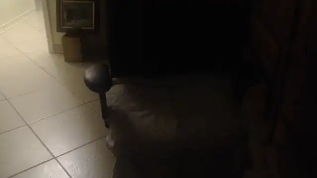 joeydee1 webcam