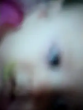 Raha-Sharma webcam