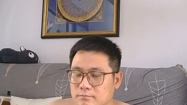 866532 webcam
