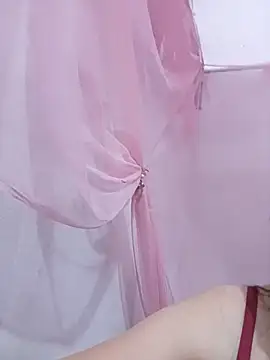 Phoebe-e webcam