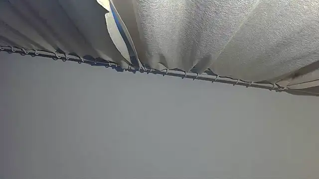 Butterfly_PL webcam