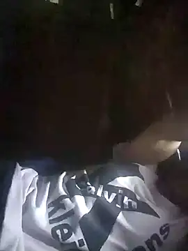 Seiciz webcam