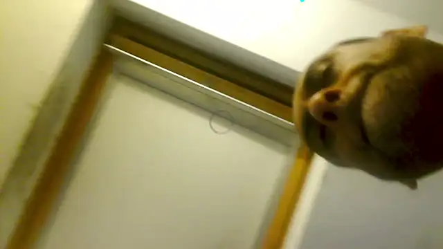 mista_sista_fista webcam