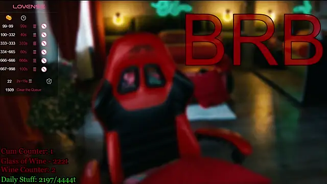MaxPhoenixx webcam