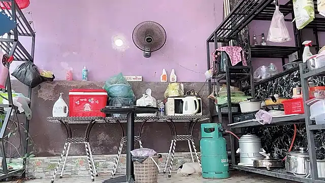 LinhChi_9x webcam