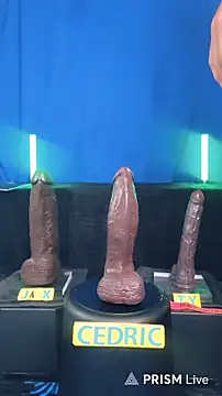 FantasyMan-BiWM webcam