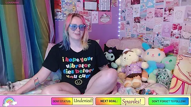 nerdgibbler webcam