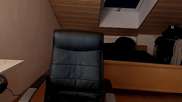 Bez3ybik webcam