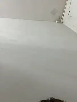 Hello_honey webcam