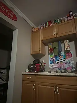 ReallyReallyReal webcam