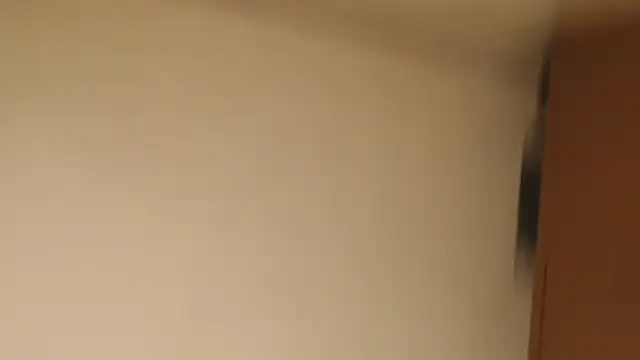 MilkShakexx webcam