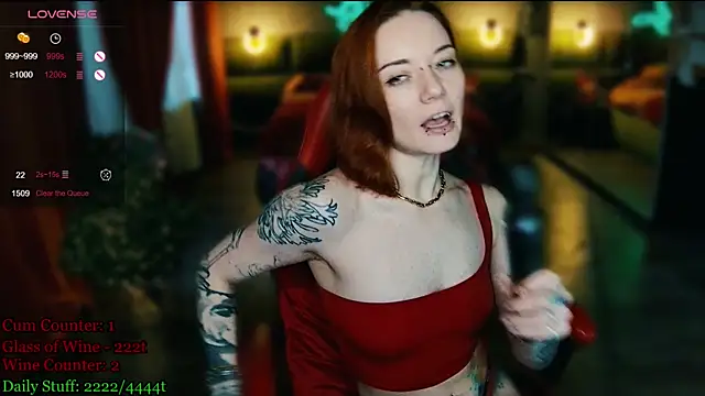 MaxPhoenixx webcam