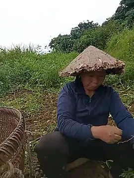 tuyet-nhi webcam
