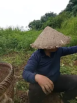 tuyet-nhi webcam
